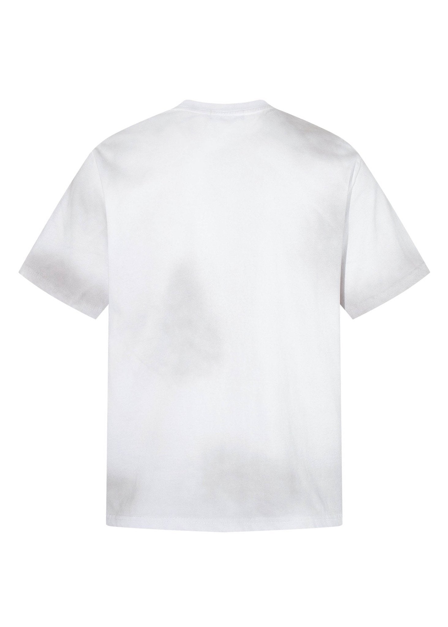 Washed Grunge Graphic T-Shirt - Rick Circus