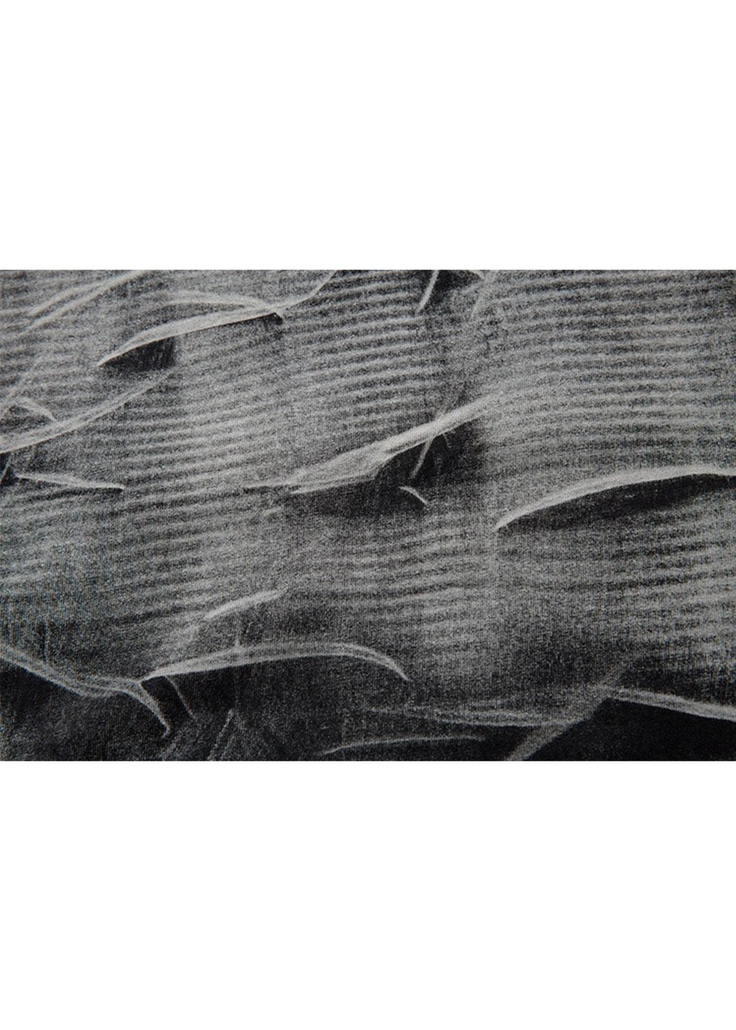 Scratch Print Gradient T-Shirt - Rick Circus