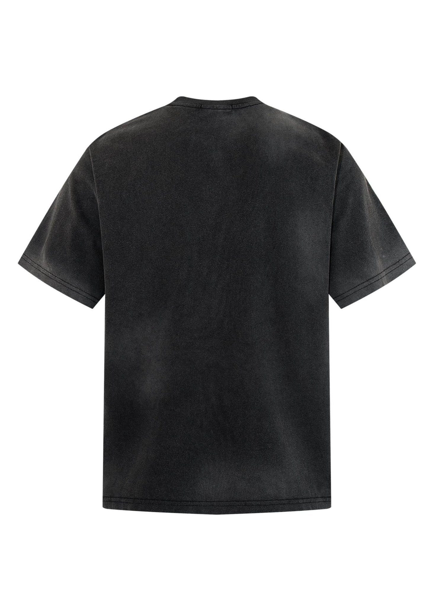 Washed Grunge Graphic T-Shirt - Rick Circus